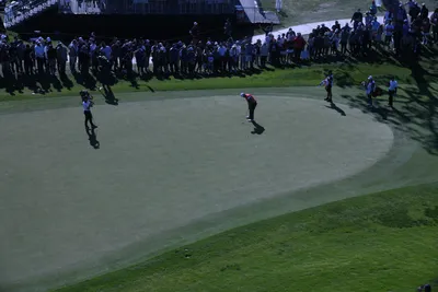 DSC_0740 (Large).JPG